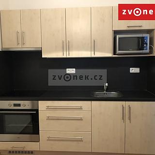 Pronájem bytu 1+1 36 m² Zlín, Křiby