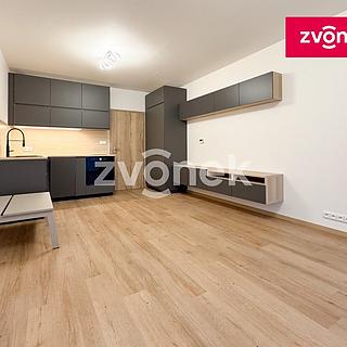 Pronájem bytu 1+kk a garsoniéry 37 m² Zlín, Nad Stráněmi