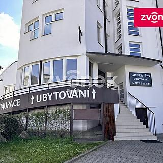 Pronájem hotelu a penzionu 174 m² Zlín, Antonínova