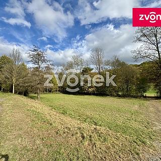 Prodej stavební parcely 4884 m² Březolupy