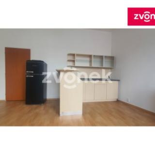 Pronájem bytu 1+kk a garsoniéry 25 m² Zlín, Dlouhá
