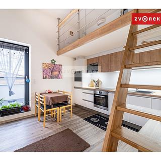 Pronájem bytu 1+kk a garsoniéry 42 m² Zlín, K Majáku