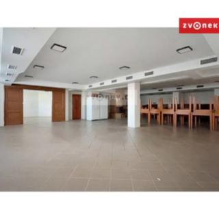 Pronájem obchodu 239 m² Zlín Malenovice, V Úvozu