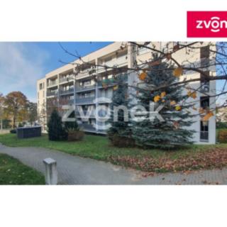 Pronájem bytu 1+kk a garsoniéry 42 m² Zlín, Březnická