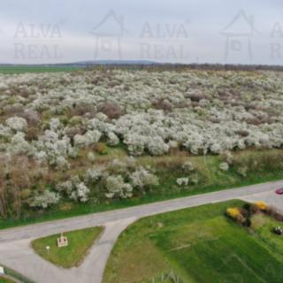 Prodej zemědělské půdy 1 850 m² Medlov