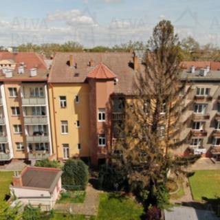 Prodej bytu 1+1 56 m² Prostějov