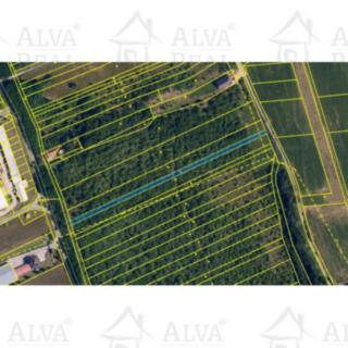 Prodej zemědělské půdy 1 850 m² Medlov