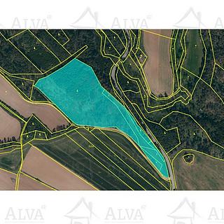 Prodej lesa 24443 m² Tasov