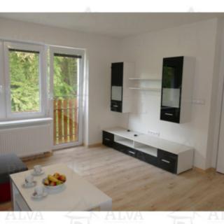 Pronájem bytu 2+kk 39 m² Brno