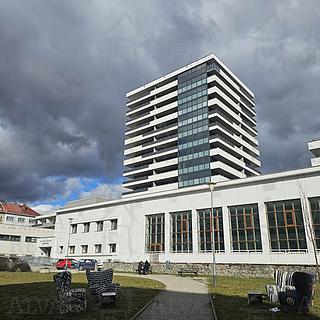Pronájem bytu 2+kk 63 m² Brno Zábrdovice, Bratislavská
