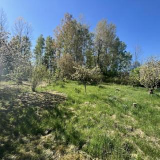 Prodej stavební parcely 1 855 m² Oldřichov v Hájích