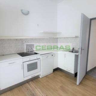 Pronájem bytu 3+kk 60 m² České Budějovice