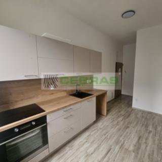 Pronájem bytu 1+1 45 m² České Budějovice 3, Riegrova