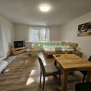 Prodej bytu 1+kk a garsoniéry 47 m² Lipno nad Vltavou