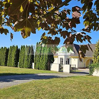 Prodej vily 500 m² České Budějovice 5, Stará cesta