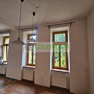 Pronájem bytu 1+kk a garsoniéry 41 m² České Budějovice 3, Nová