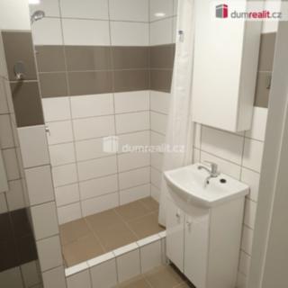 Pronájem bytu 1+1 36 m² Děčín