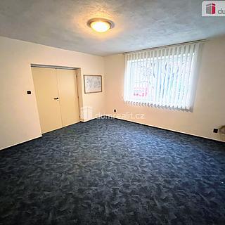 Pronájem hotelu a penzionu 250 m² Uherské Hradiště Mařatice, Jižní