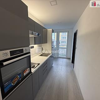 Pronájem bytu 2+1 53 m² Krupka Bohosudov, Kollárova