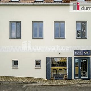 Prodej obchodu 264 m² Pavlov, Česká