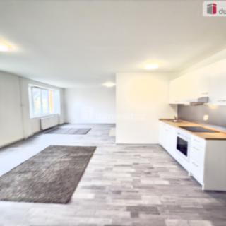 Pronájem bytu 2+kk 87 m² Ústí nad Labem Střekov, Purkyňova