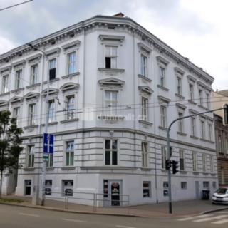 Pronájem bytu 1+1 48 m² Brno Ponava, Pionýrská