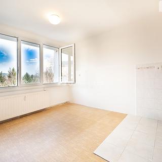 Prodej bytu 1+kk, garsoniery 19 m&sup2; Větřní