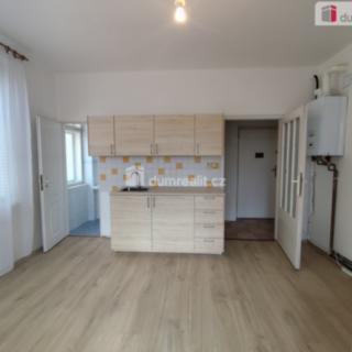 Pronájem bytu 1+1 40 m² Poděbrady II, Říční