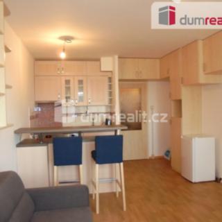 Pronájem bytu 1+kk a garsoniéry 31 m² Praha Chodov, Nad Opatovem