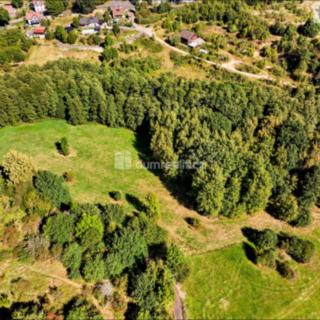 Prodej stavební parcely 21 419 m² Sadov Bor, Bor