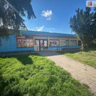 Pronájem obchodu 324 m² Kolín V, Třídvorská