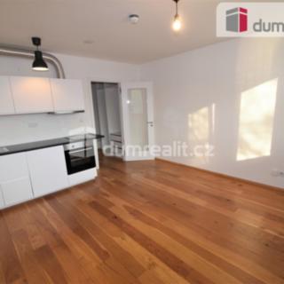 Prodej bytu 1+kk a garsoniéry 27 m² Praha Vinohrady, Perucká