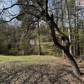 Prodej stavební parcely 1153 m&sup2; Luhačovice