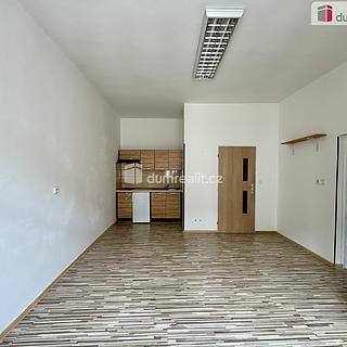Pronájem bytu 1+1 55 m² Chomutov, Nerudova