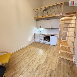 Pronájem bytu 1+1 35 m² Praha