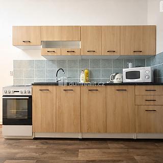 Pronájem bytu 1+1 32 m² Trmice, Trmice