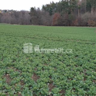 Prodej zemědělské půdy 3516 m² Dolní Lhota