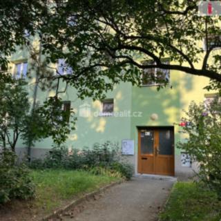 Pronájem bytu 2+1 48 m² Mladá Boleslav II, Václavkova