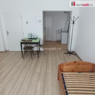 Pronájem bytu 1+kk a garsoniéry 20 m² Děčín IV-Podmokly, Divišova