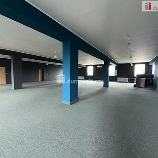 Pronájem obchodu 450 m&sup2; Dubňany