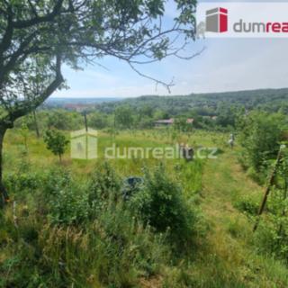 Pronájem zahrady 450 m² Nelahozeves