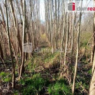Prodej louky 7652 m² Buřenice