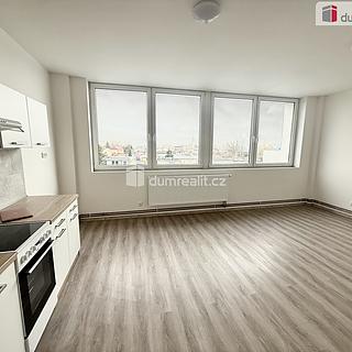 Pronájem bytu 2+kk 55 m² Mlékojedy, Mlékojedy