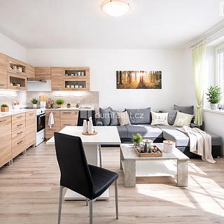 Pronájem bytu 2+kk 43 m² Ústí nad Labem Severní Terasa, Brandtova