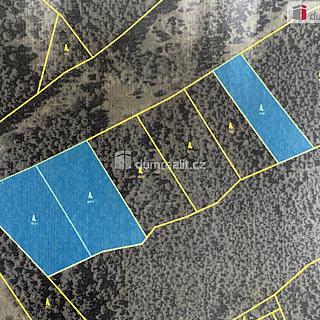 Prodej lesa 11340 m&sup2; Nebahovy