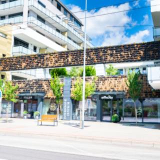 Pronájem ostatního komerčního prostoru 244 m² České Budějovice 2, České Budějovice 2