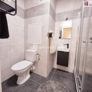Pronájem bytu 2+kk 49 m² Roudnice nad Labem, Na Urbance