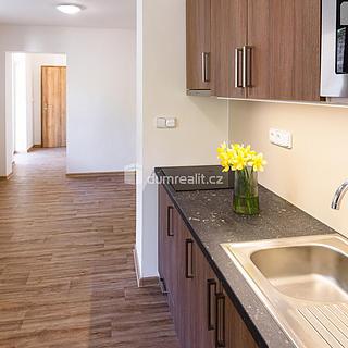 Prodej bytu 2+kk 45 m² Všemina, Všemina
