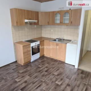 Pronájem bytu 1+1 35 m² Jílové Kamenná, Spojová