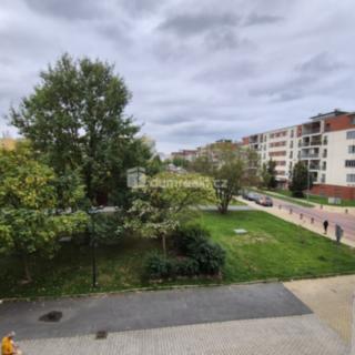 Prodej bytu 1+kk a garsoniéry 32 m² Plzeň Severní Předměstí, Hodonínská